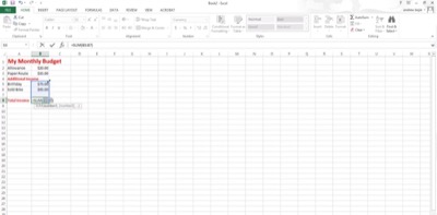 Life skill - Using a computer spreadsheet