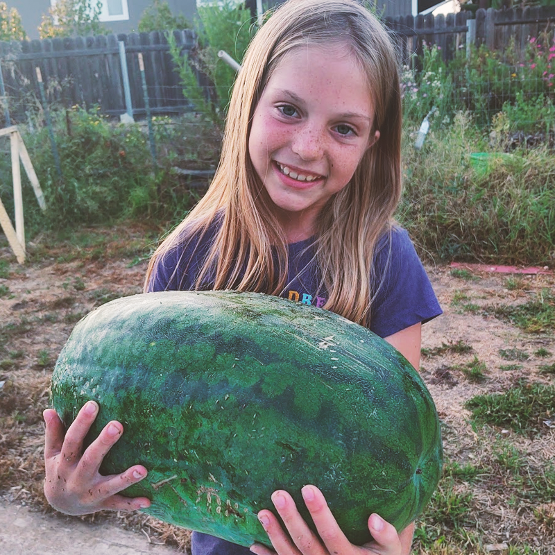 Child holding a large watermelon
